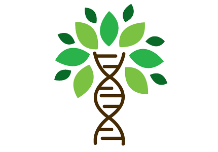 The genome of Canada’s most important forest tree – the Spruce tree – decoded