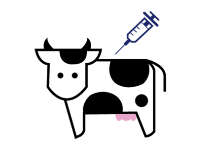 First <i>E. coli</i>     vaccine for cattle developed