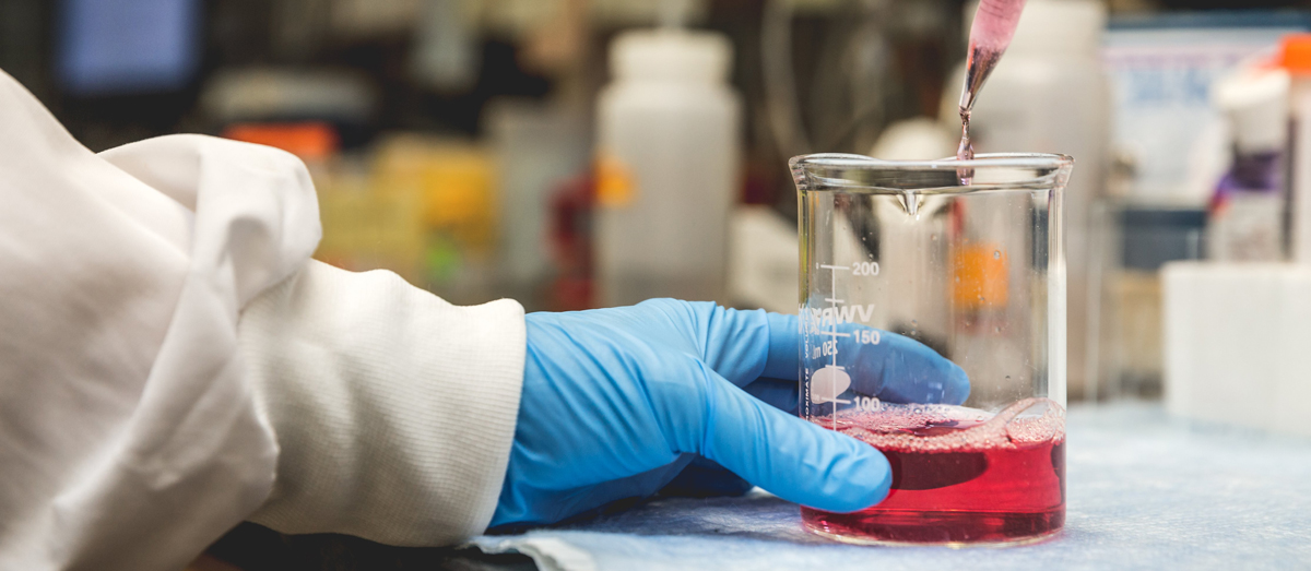 A photo of a beaker with pink liquid which was the unintended result.