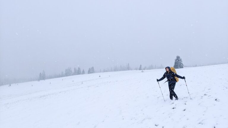 woman skiing