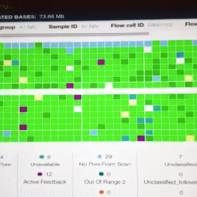screen shot video of a MinION run as it is sequencing in real time