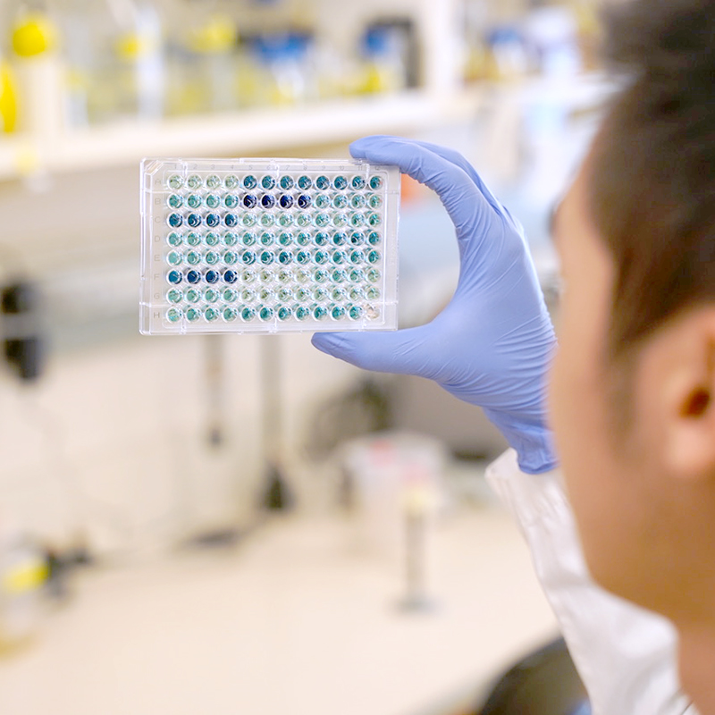 researcher holding up yeast samples