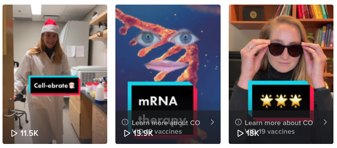 a row of video thumbnails from Dr. Blakney's TikTok account