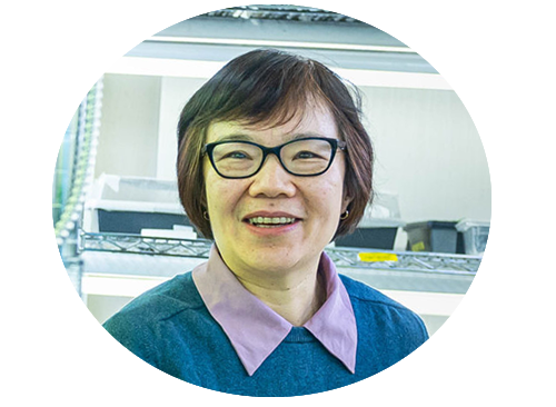 Dr. Xin Li nominated as Tier 1 Canadian Research Chair