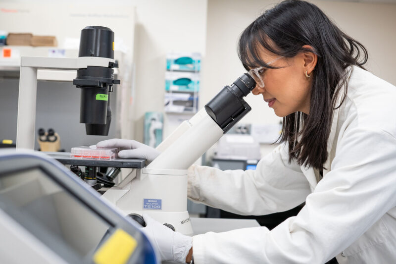 PhD candidate Heather Baker looks into a large microscope, holding a plastic tray of samples under the microscope for viewing.