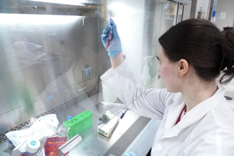 From the side, PhD student Stephanie Besoiu looks at a sample in a test tube being held up in a biosafety cabinet.