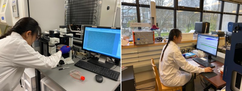 The left image shows Lucy observing primary astrocytes under a microscope. On the right, she is seen analyzing the proteomic profiles of the astrocytes on a mass spectrometer.