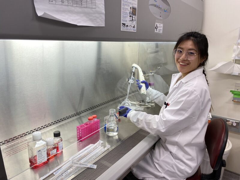 Graduate student Lucy Chi cultures astrocyte cells in a biosafety cabinet.