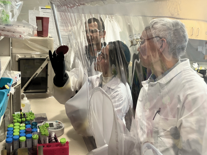 Three researchers stand at a lab bench behind a protective plastic screen. One of the researchers, Maggie Ma, reaches into two sleeves with gloves in the screen so she can pick up a petri dish for the researchers to look at.