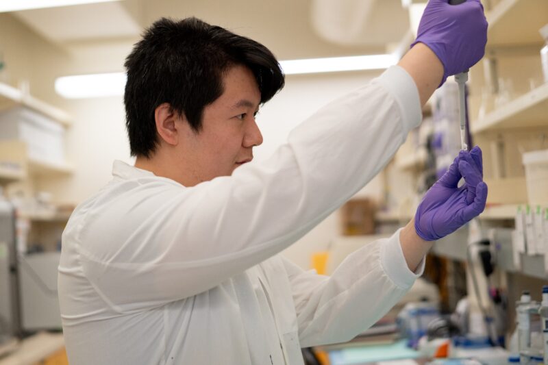 Zhang looks closely as he holds up a small tube, adding liquid to the tube using a pipette.