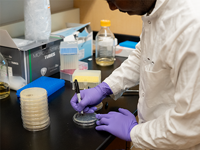 Casmil uses a Sharpie to label a petri plate on the lab bench.