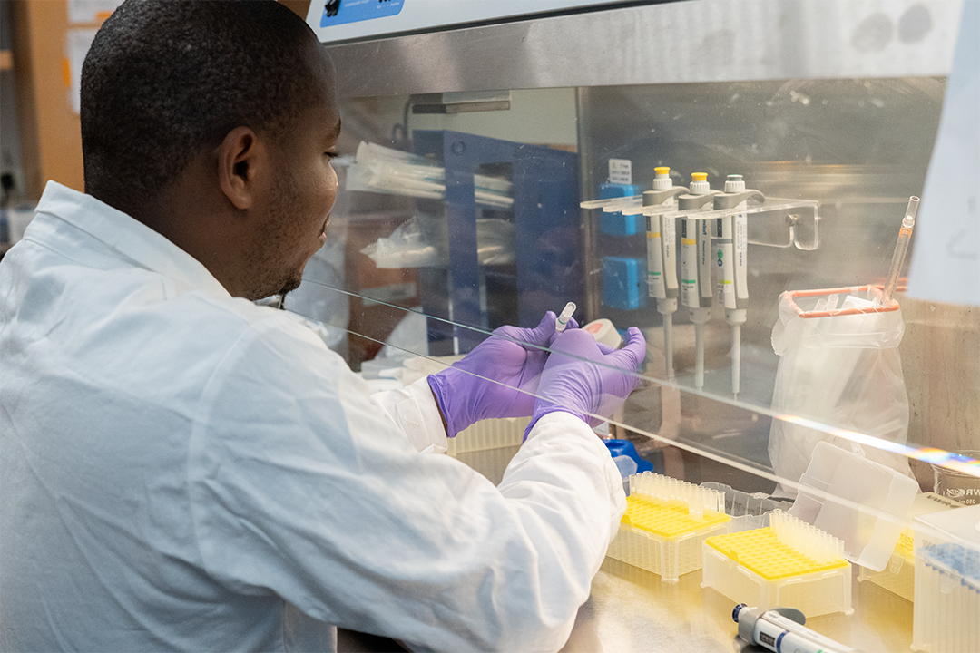 Casmil holds a small plastic tube under a safety hood in the lab.